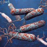 Congo’s Worst Cholera Outbreak in 25 Years: A Call for Urgent Investment in Water, Sanitation, and Health