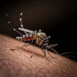 Congo’s Worst Cholera Outbreak in 25 Years: A Call for Urgent Investment in Water, Sanitation, and Health