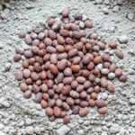 Cement in Your Beans? How to Stay Safe and Report It Now