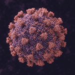 Exposed to Andes Hantavirus? Actionable Steps to Take Right Now