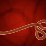 How to Stay Safe as Ghana Activates Ebola Emergency Response